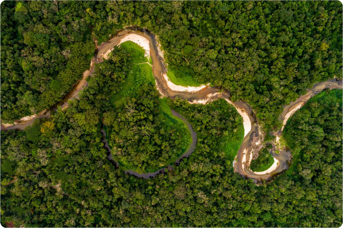 Floresta Amazônica